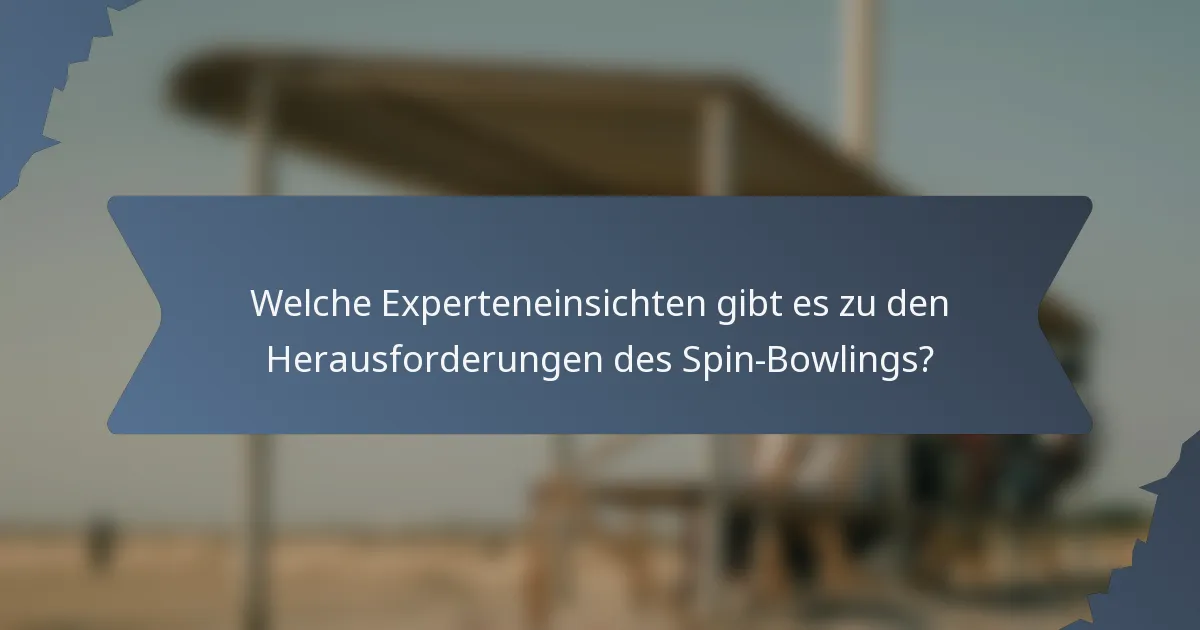 Welche Experteneinsichten gibt es zu den Herausforderungen des Spin-Bowlings?